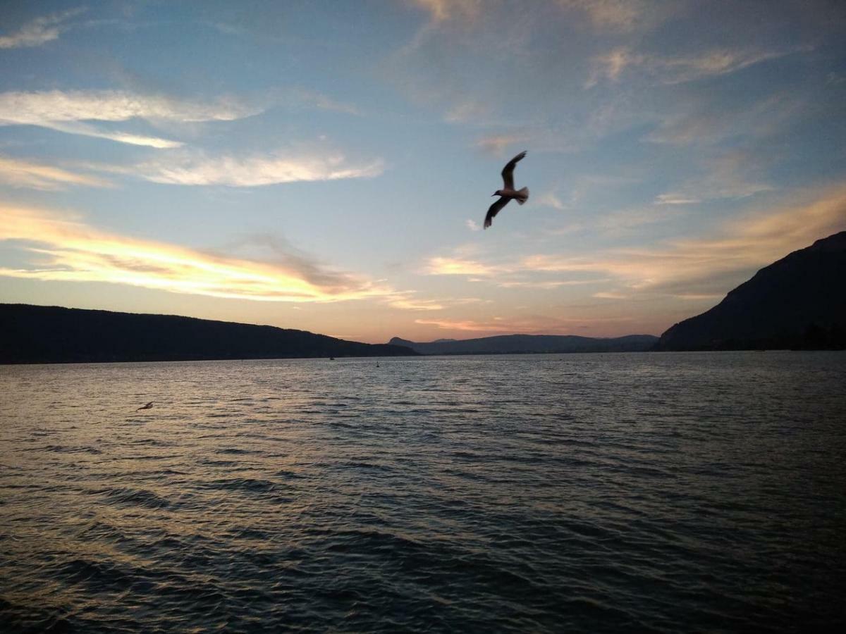 Lp Anne Apartment Annecy Luaran gambar